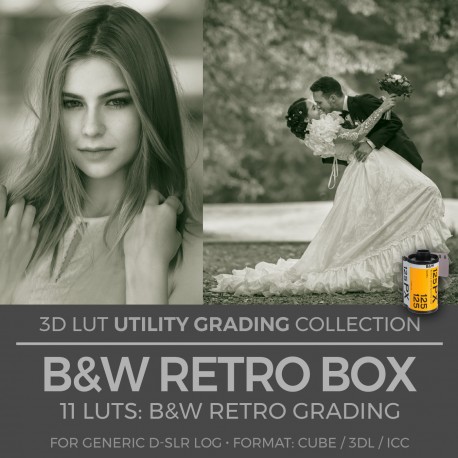 B&W Retro Box LUT
