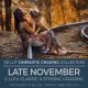 Late November LUT