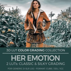 Her Emotion LUT