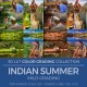 Indian Summer LUT