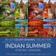 Indian Summer LUT