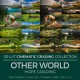 Other World LUT