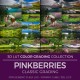 Pinkberries LUT