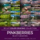 Pinkberries LUT