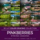 Pinkberries LUT