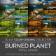 Burned Planet LUT