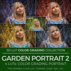Garden Portrait II. LUT