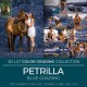 Petrïlla LUT