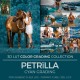 Petrïlla LUT