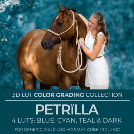 Petrïlla LUT