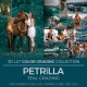 Petrïlla LUT