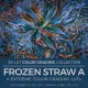 Frozen Straw A LUT