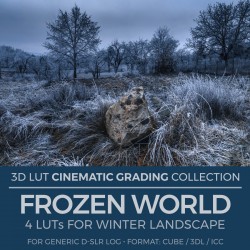 Frozen World LUT