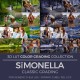 Sïmonella LUT
