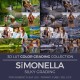 Sïmonella LUT