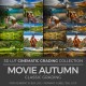 Movie Autumn LUT