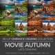 Movie Autumn LUT