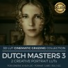 Dutch Masters 3 LUT