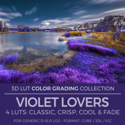 Violet Lovers LUT