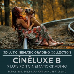 CȊNȆLUXE-B LUT