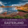 Easterland LUT
