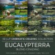 Eucalypterra LUT