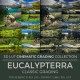 Eucalypterra LUT