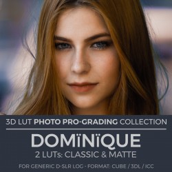 Domïnïque LUT