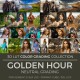 Golden Hour LUT