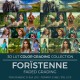 Forïstenne LUT