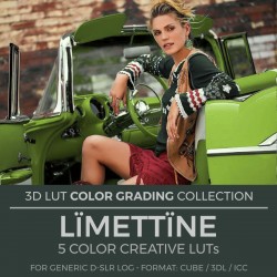 Lïmetïnne LUT