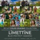 Lïmetïnne LUT