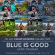 Blue Is Good LUT