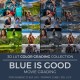 Blue Is Good LUT