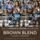 Brown Blend LUT