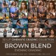 Brown Blend LUT