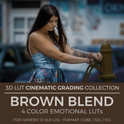 Brown Blend LUT